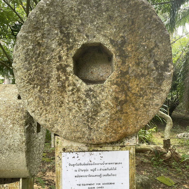 ทริปแรกในชีวิต