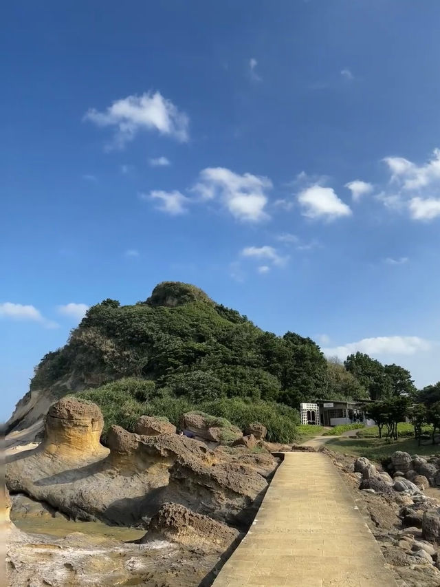 Nature, look what you’ve done! Exploring the Wonders of Yehliu Geopark