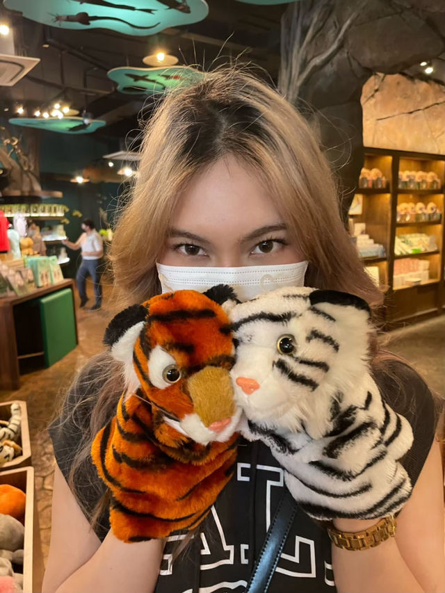 มาดูแพนด้าที่ Singapore Zoo 🐼🐯