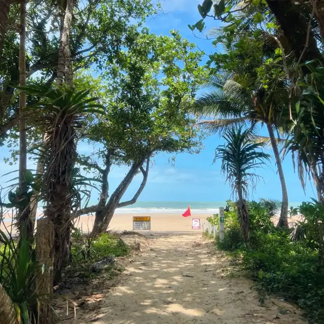 미션 비치의 열대 매력을 발견해보세요, 퀸즐랜드