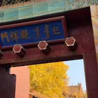 A Walk Through Imperial Majesty: The Palace Museum Experience