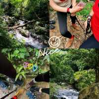 🍄One day trip สระบุรี - น้ำตกโกรกอีดก 🌳