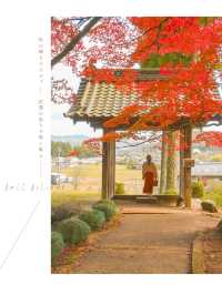 【京都】京都、穴場の絶景！紅葉が見事なお寺