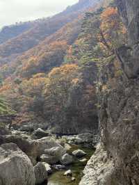 (실시간) 가을을 맞아 더욱 아름다워진 진안 운일암반일암 출렁다리🍁🤎