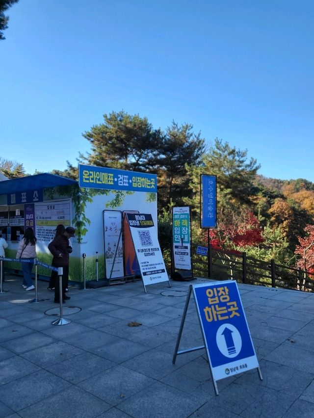 메타세콰이어 명소로 유명한 청남대