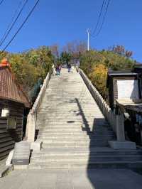 포항 필수 여행코스💙 구룡포 일본인 가옥거리