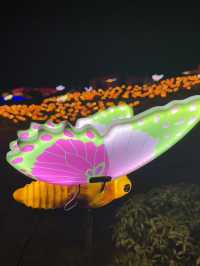 Light in the Garden แสงในสวนสวยครั้งแรกจันทบุรี