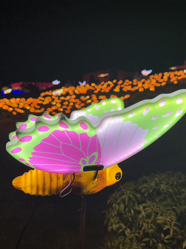 Light in the Garden แสงในสวนสวยครั้งแรกจันทบุรี