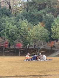힐링하기 좋은 공원데이트!🏞️