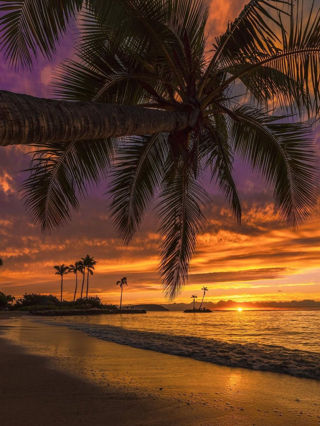 Why Hawaii is the Ultimate Sunset Spot 🌅