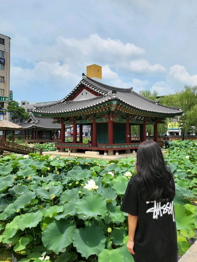 원주 도심에서 만나는 역사속 공간