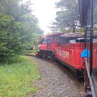 濟洲島ECOLAND森林小火車🚂涯月漢潭海邊步道長廊📸Ivar Garden媒體藝術展示館😍