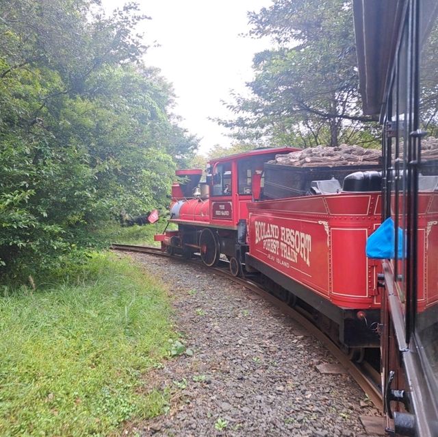 濟洲島ECOLAND森林小火車🚂涯月漢潭海邊步道長廊📸Ivar Garden媒體藝術展示館😍
