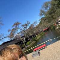 Edo wonderland 