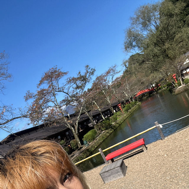Edo wonderland 