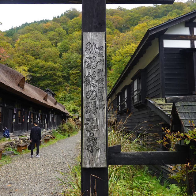 【秋田県】自然に囲まれた秘湯で温泉を楽しむ♨️