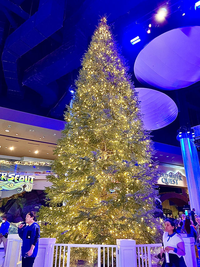 [聖誕節🎄］Georgia Aquarium-親子同遊過聖誕🐠🐡🌟
