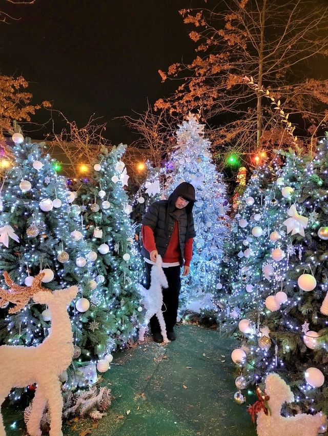 역대급 트리존이 있는 여주 크리스마스카페
