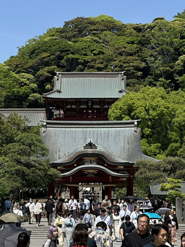 Step into History at Tsurugaoka Hachimangu, Kamakura