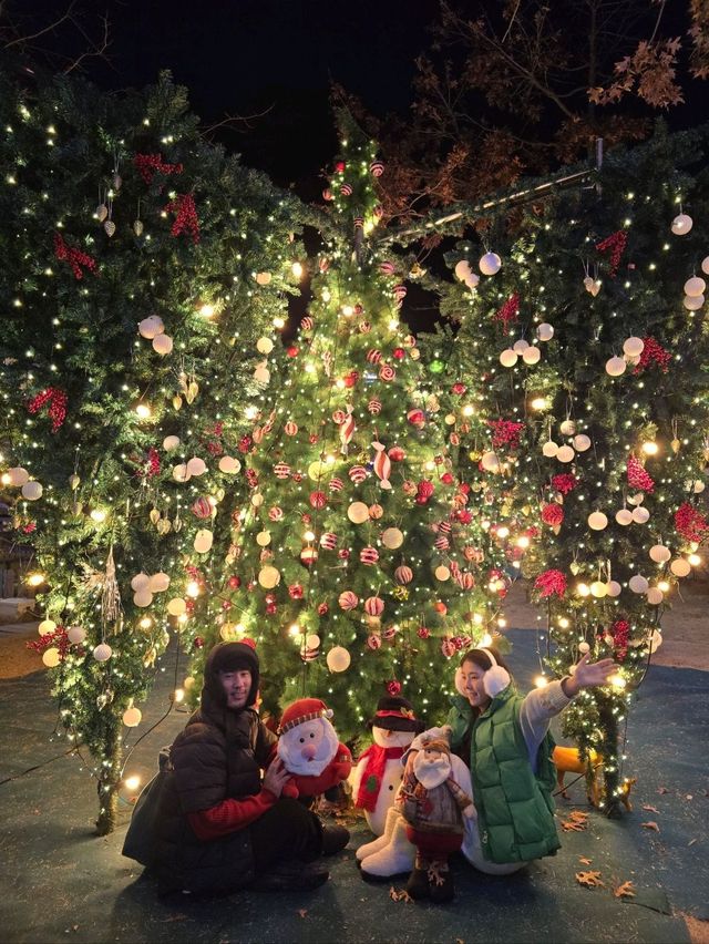여친 데려가면 칭찬받을 크리스마스카페🎄
