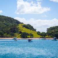 The Bay of Islands,