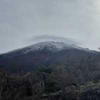 November Moments at the Foot of Fuji