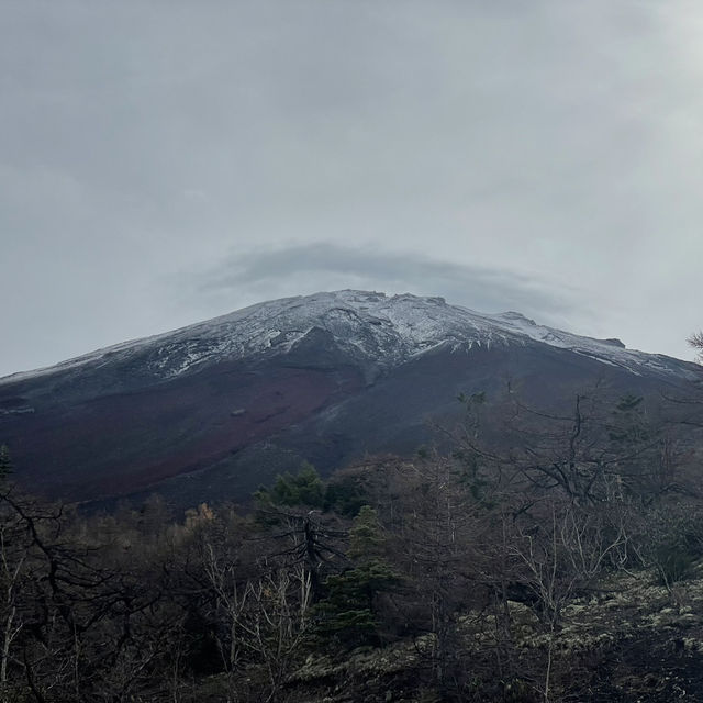November Moments at the Foot of Fuji