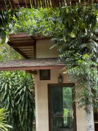 A Bamboo Haven in the Heart of Pak Chong