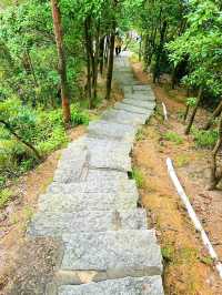 珠海白蓮洞公園：自然與歷史的交響曲🌿