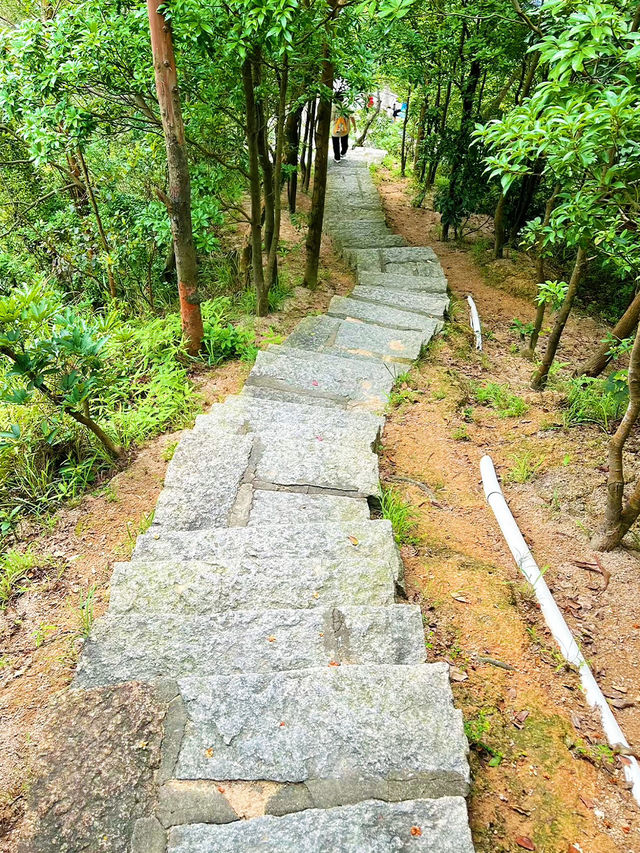 珠海白蓮洞公園：自然與歷史的交響曲🌿