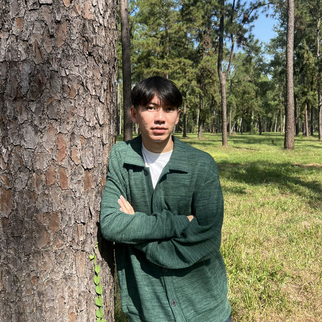 🌲 สวนสนแม่แตง จุดเช็คอินที่สายถ่ายรูปไม่ควรพลาด!