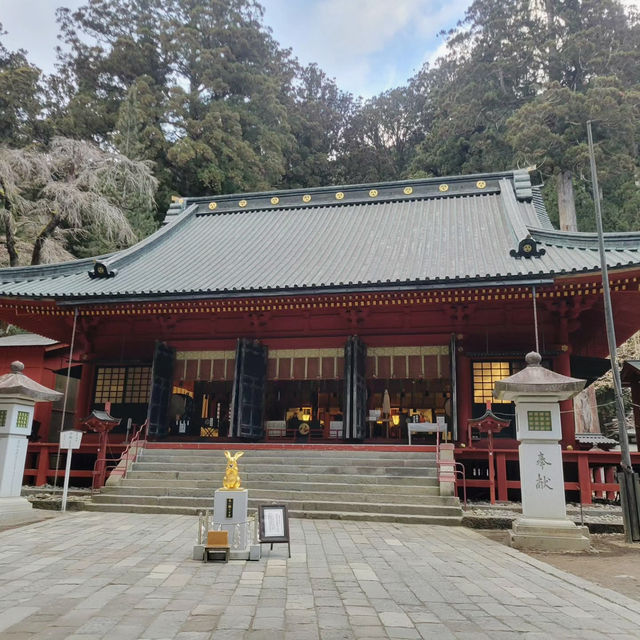 Exploring the Grandeur of Nikko Toshogu Shrine