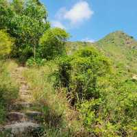 Discovering the Wild Beauty of Wilson Trail Section 9