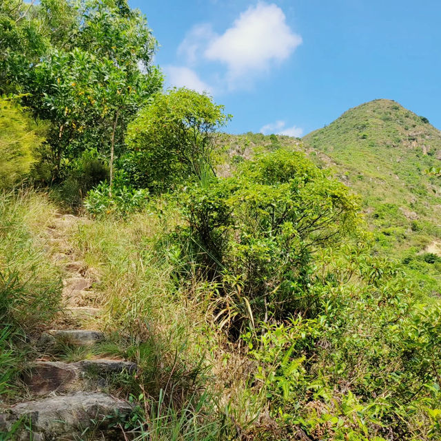 Discovering the Wild Beauty of Wilson Trail Section 9