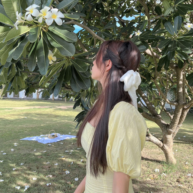 Going on a Picnic & Staycation at Hilton Nay Pyi Taw