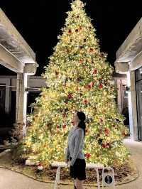 포천 어가길베이커리 크리스마스 느낌 🎄
