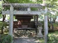 Find Tranquility and History at Adashino Nenbutsuji Temple
