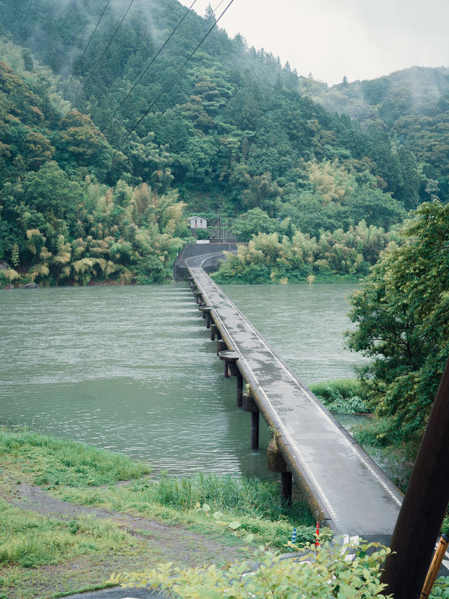 新緑が輝く四万十川🌿日本最後の清流を感じる旅