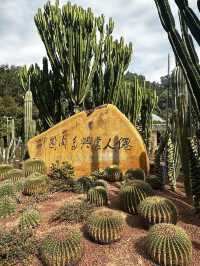 Experience Another World in Shenzhen, China 🇨🇳 🌵 👽 