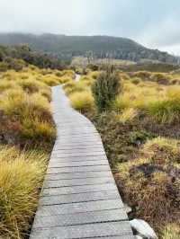 Immersed in Nature: My Scenic Adventure on the Dove Lake Circuit Walk