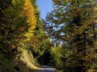 Hiking Mount Rigi: The Queen of the Swiss Alps