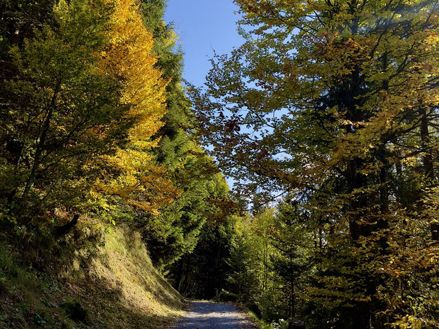Hiking Mount Rigi: The Queen of the Swiss Alps