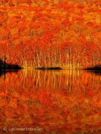 蔦沼の紅葉、撮影のベストタイミングは日の出から約30分間