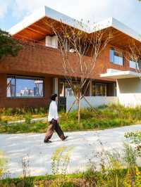 부산의 새로운 모모스커피 도모헌점🏡☕️