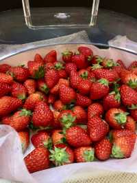 Strawberry Dreams at Brewer's Coffee & Bar🍓