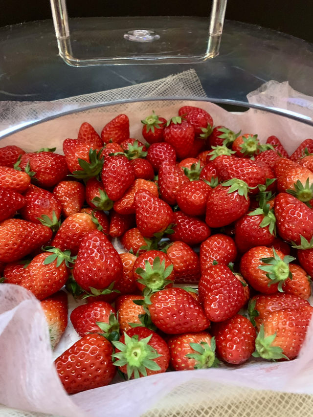 Strawberry Dreams at Brewer's Coffee & Bar🍓
