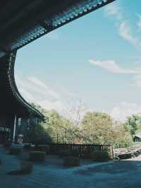 台北 城市中的綠色秘境 臺北典藏植物園
