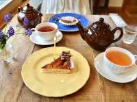 Lovely Tea Time at Pompon Cakes in Kamakura🍰