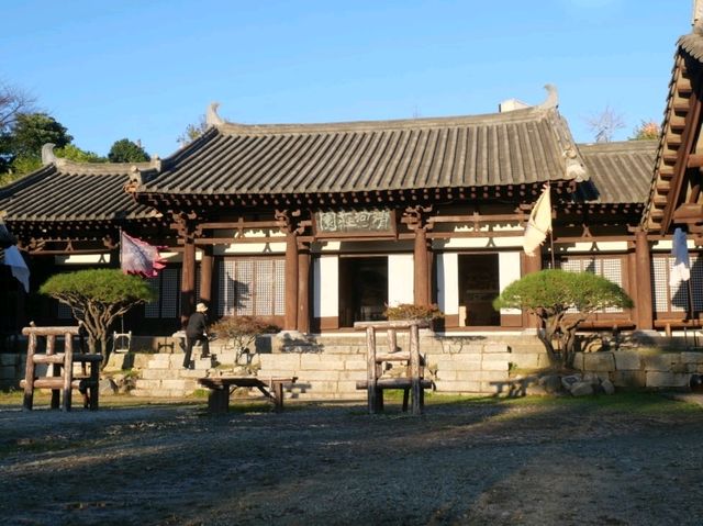 대한민국 완도를 와서