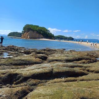 쇼도시마 투어